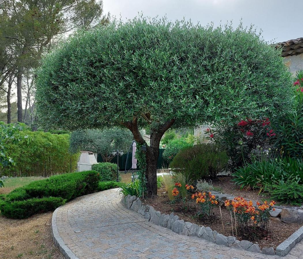 Gite Les Pins Climatise Piscine Chauffee Jardin Peymeinade Экстерьер фото