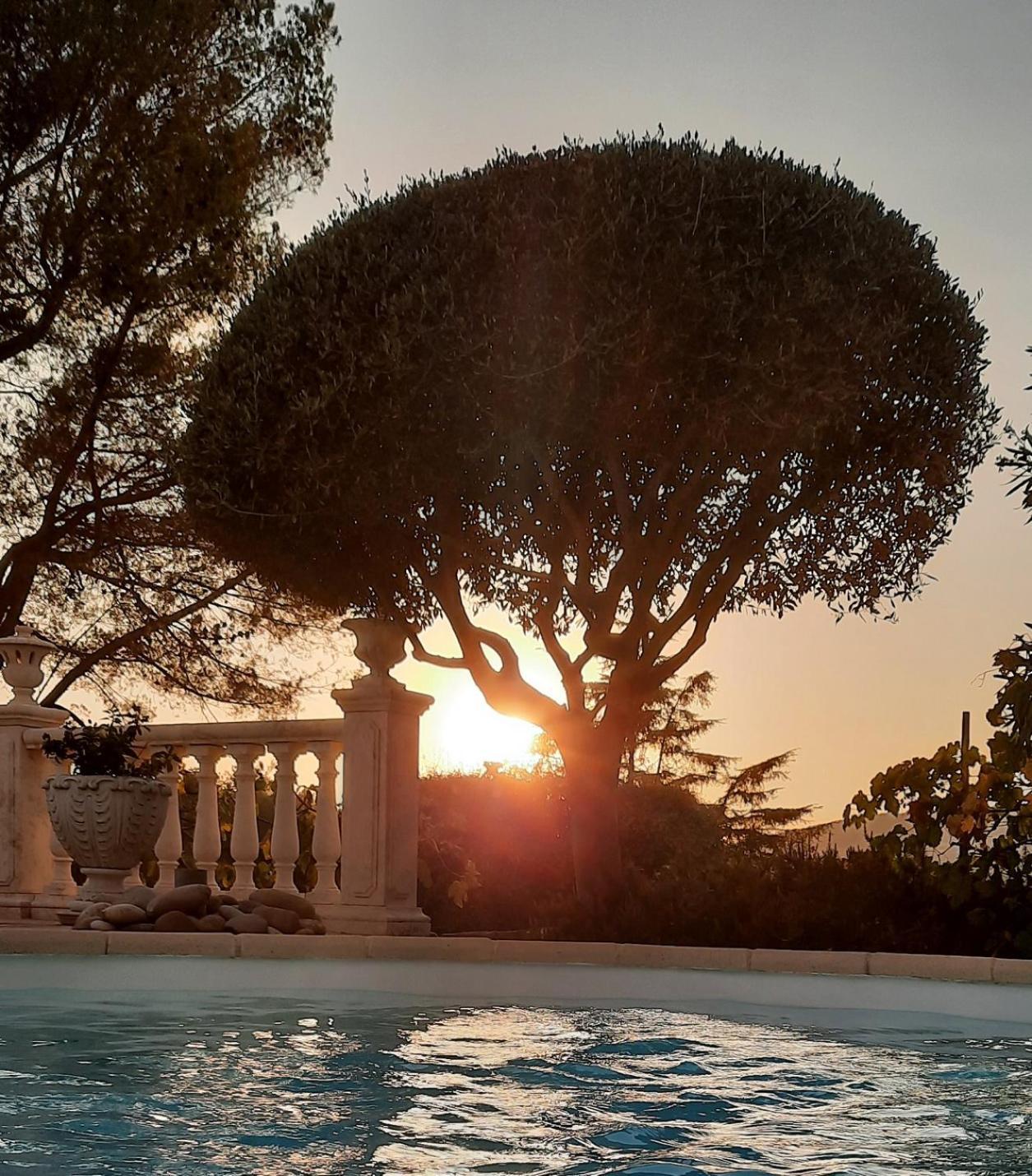 Gite Les Pins Climatise Piscine Chauffee Jardin Peymeinade Экстерьер фото